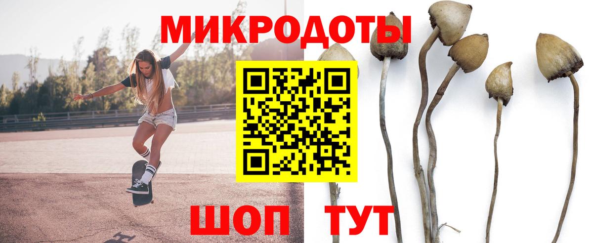 наркотики  Галлюциногенные грибы прущие грибы  Вход с VPN  Гай 