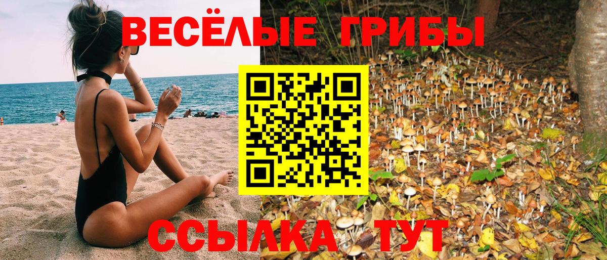 Галлюциногенные грибы Magic Shrooms Гай